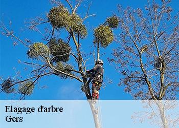 Elagage d'arbre Gers 