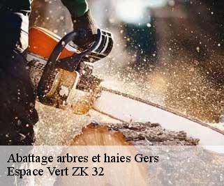 Abattage arbres et haies 32 Gers  Espace Vert ZK 32