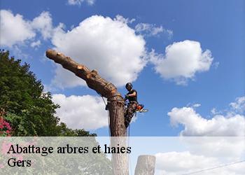 Abattage arbres et haies Gers 