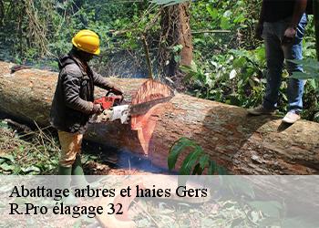 Abattage arbres et haies 32 Gers R.Pro élagage 32