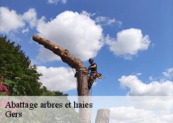 Abattage arbres et haies Gers