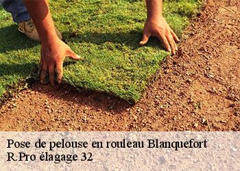 Pose de pelouse en rouleau blanquefort-32270 R.Pro élagage 32
