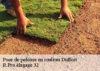 Pose de pelouse en rouleau duffort-32170 R.Pro élagage 32
