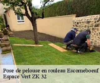 Pose de pelouse en rouleau  escorneboeuf-32200 Espace Vert ZK 32