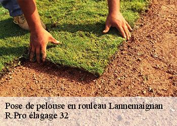 Pose de pelouse en rouleau lannemaignan-32240 R.Pro élagage 32