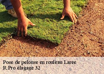 Pose de pelouse en rouleau laree-32150 R.Pro élagage 32