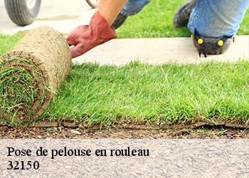 Pose de pelouse en rouleau 32150