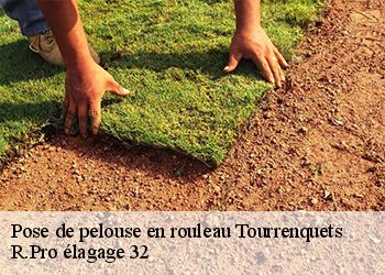 Pose de pelouse en rouleau tourrenquets-32390 R.Pro élagage 32