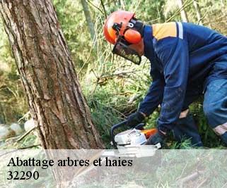 Abattage arbres et haies  32290