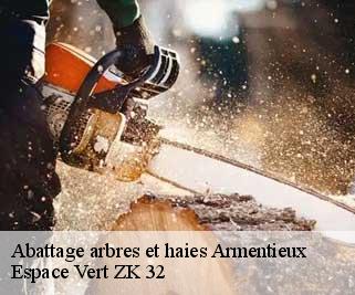 Abattage arbres et haies  armentieux-32230 Espace Vert ZK 32