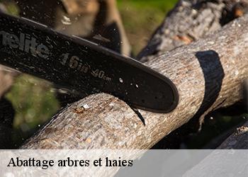 Abattage arbres et haies