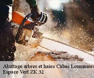Abattage arbres et haies  cabas-loumasses-32140 Espace Vert ZK 32