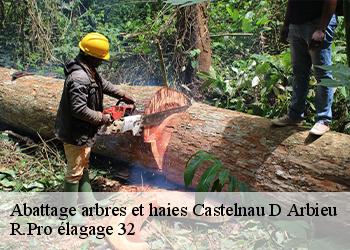 Abattage arbres et haies castelnau-d-arbieu-32500 R.Pro élagage 32