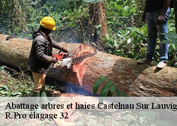Abattage arbres et haies  castelnau-sur-lauvignon-32100 R.Pro élagage 32