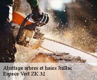 Abattage arbres et haies  juillac-32230 Espace Vert ZK 32