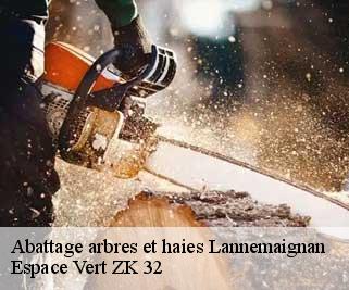 Abattage arbres et haies  lannemaignan-32240 Espace Vert ZK 32