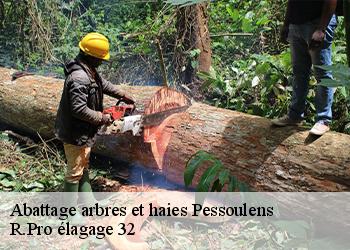 Abattage arbres et haies pessoulens-32380 R.Pro élagage 32