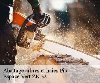 Abattage arbres et haies  pis-32500 Espace Vert ZK 32