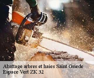 Abattage arbres et haies  saint-griede-32110 Espace Vert ZK 32