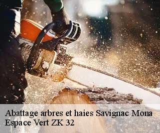 Abattage arbres et haies  savignac-mona-32130 Espace Vert ZK 32