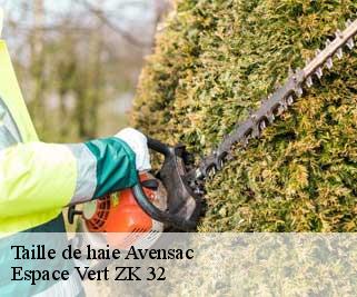 Taille de haie  avensac-32120 Espace Vert ZK 32