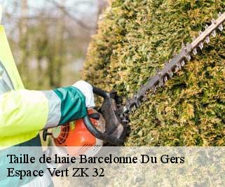 Taille de haie  barcelonne-du-gers-32720 Espace Vert ZK 32