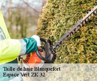 Taille de haie  blanquefort-32270 Espace Vert ZK 32