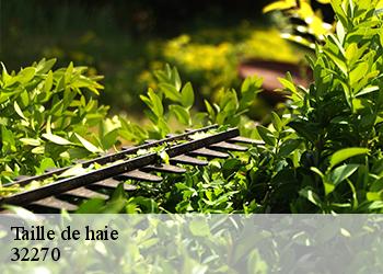 Taille de haie 32270