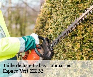 Taille de haie  cabas-loumasses-32140 Espace Vert ZK 32