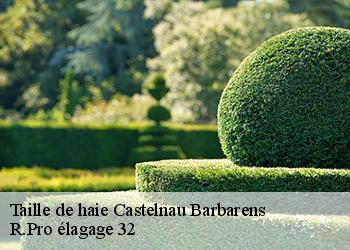 Taille de haie castelnau-barbarens-32450 R.Pro élagage 32
