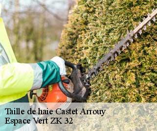 Taille de haie  castet-arrouy-32340 Espace Vert ZK 32