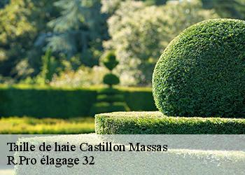 Taille de haie  castillon-massas-32360 Espace Vert ZK 32