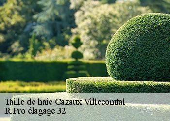 Taille de haie cazaux-villecomtal-32230 R.Pro élagage 32
