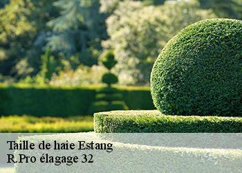 Taille de haie  estang-32240 Espace Vert ZK 32