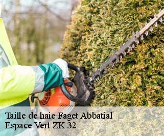 Taille de haie  faget-abbatial-32450 Espace Vert ZK 32
