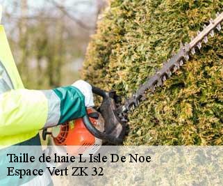 Taille de haie  l-isle-de-noe-32300 Espace Vert ZK 32