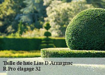 Taille de haie  lias-d-armagnac-32240 R.Pro élagage 32