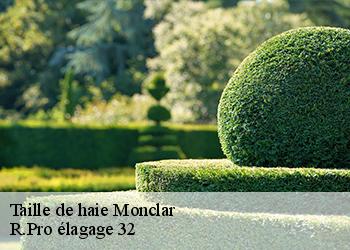 Taille de haie  monclar-32150 Espace Vert ZK 32