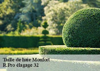 Taille de haie monfort-32120 R.Pro élagage 32