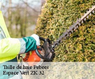 Taille de haie  pebees-32130 Espace Vert ZK 32