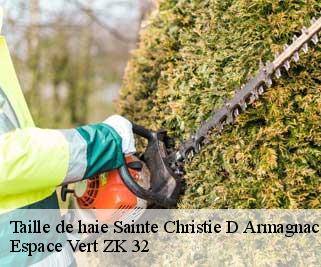 Taille de haie  sainte-christie-d-armagnac-32370 Espace Vert ZK 32