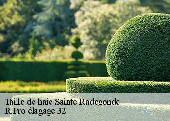 Taille de haie sainte-radegonde-32500 R.Pro élagage 32
