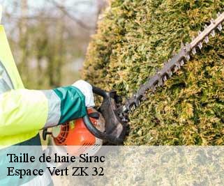 Taille de haie  sirac-32430 Espace Vert ZK 32
