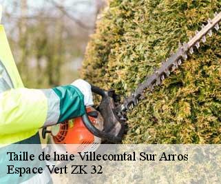 Taille de haie  villecomtal-sur-arros-32730 Espace Vert ZK 32