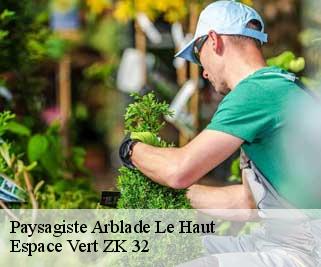 Paysagiste  arblade-le-haut-32110 Espace Vert ZK 32