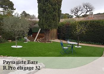 Paysagiste bars-32300 R.Pro élagage 32