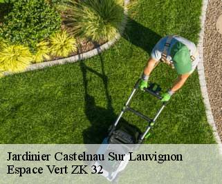 Jardinier  castelnau-sur-lauvignon-32100 Espace Vert ZK 32