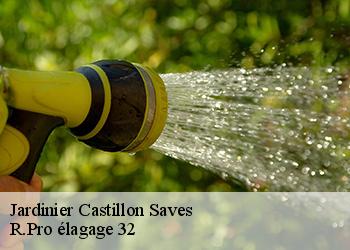 Jardinier  castillon-saves-32490 Espace Vert ZK 32