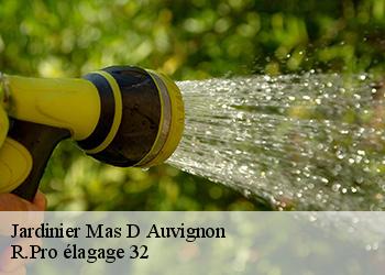 Jardinier mas-d-auvignon-32700 R.Pro élagage 32