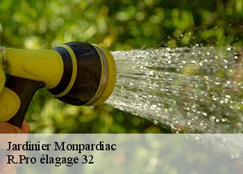 Jardinier monpardiac-32170 R.Pro élagage 32